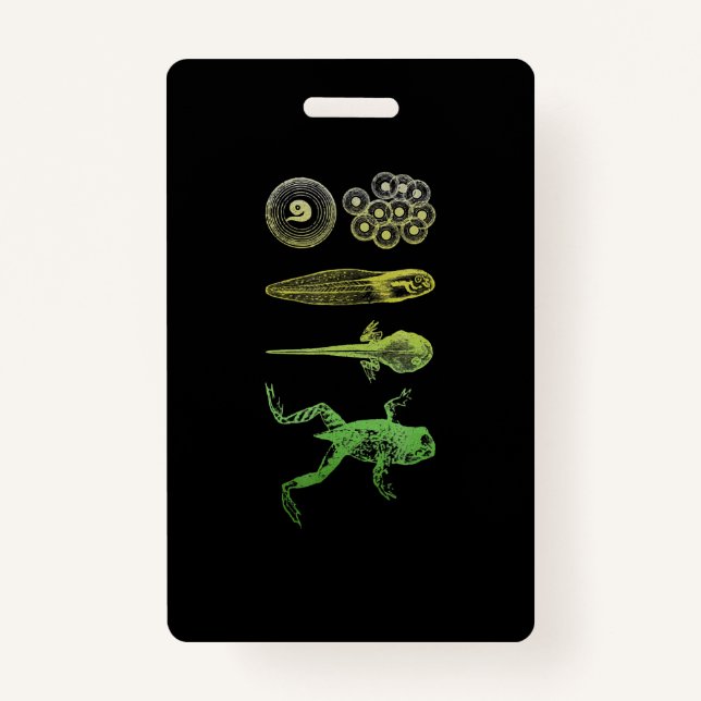 Frog Tadpole  Metamorphosis Life Cycle Biology ID Badge (Front)