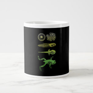 Frog Tadpole  Metamorphosis Life Cycle Biology Large Coffee Mug