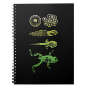 Frog Tadpole  Metamorphosis Life Cycle Biology Notebook