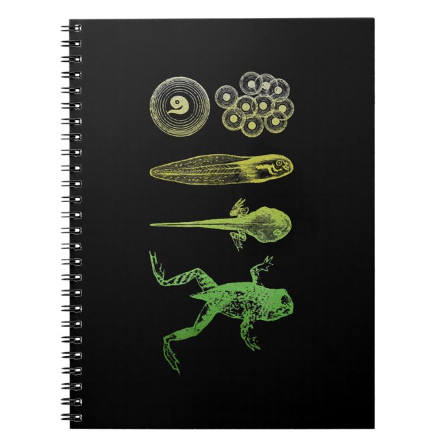 Frog Tadpole  Metamorphosis Life Cycle Biology Notebook (Front)
