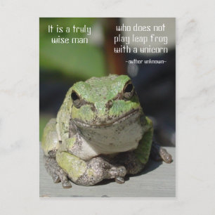 Frog & Unicorn Postcard