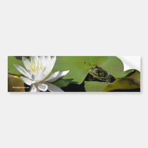 Frog Water Lily Flower Photo Bumper Sticker