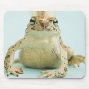 Frog wearing crown mouse pad