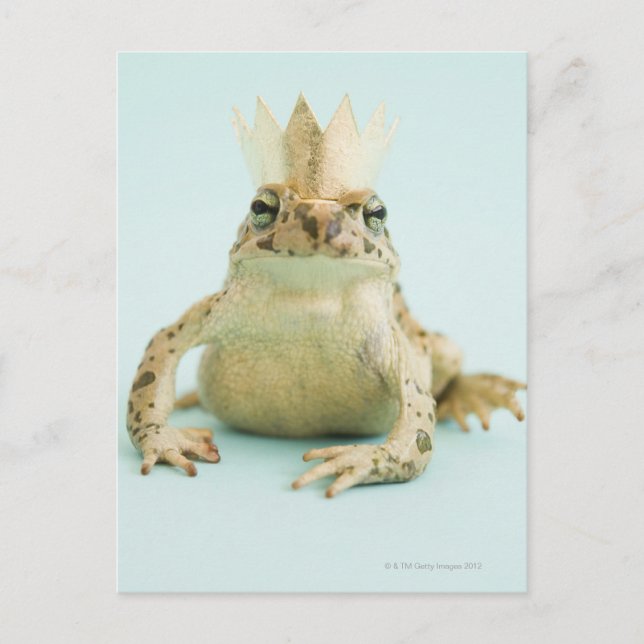 Frog wearing crown postcard (Front)