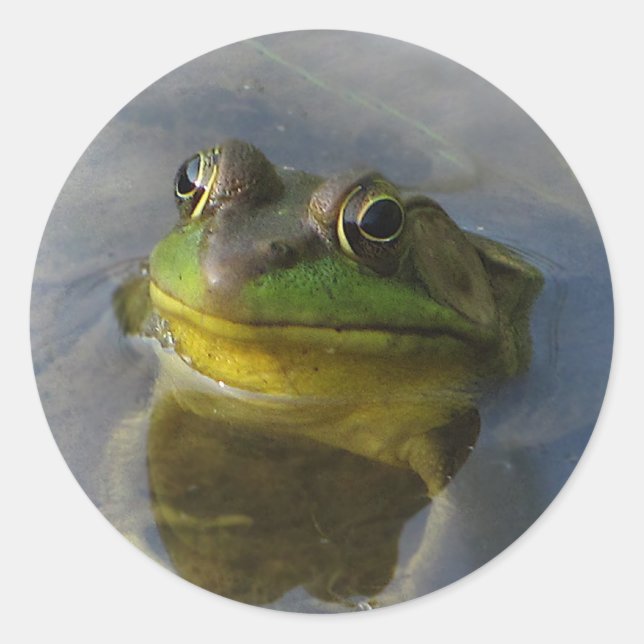 Frog with Attitude Classic Round Sticker (Front)