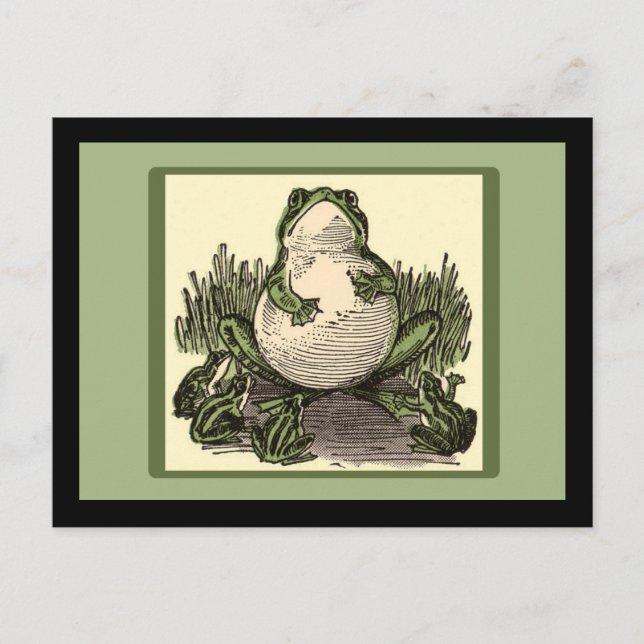 Frog with Baby Frogs Postcard (Front)