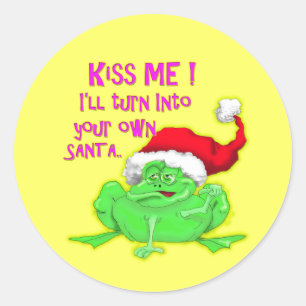 Frog with Santa hat Funny saying Classic Round Sticker