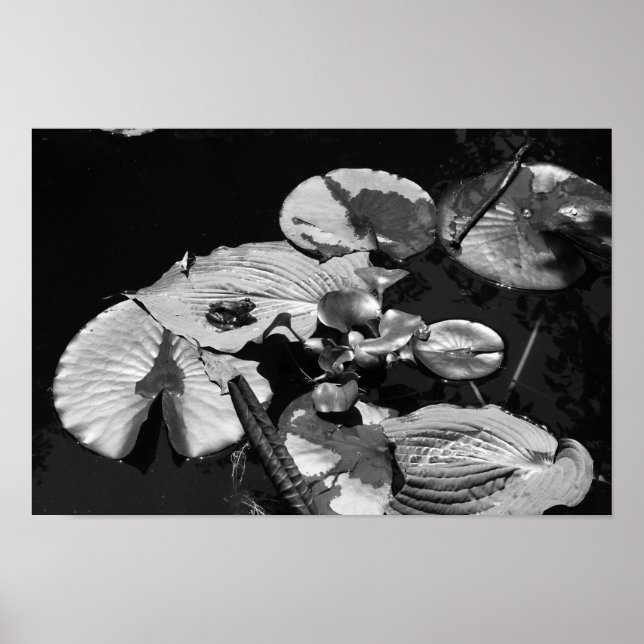 Frog World Poster (Front)