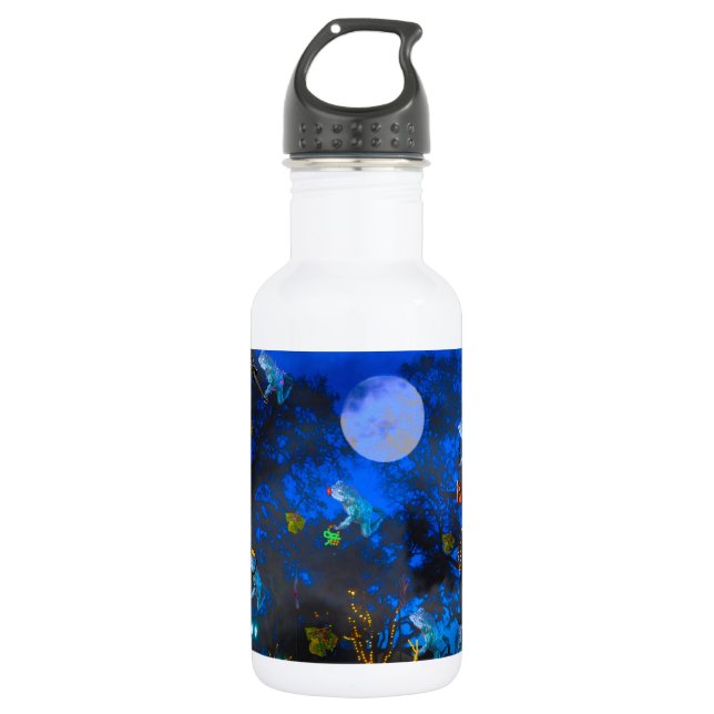 Froggie Night 532 Ml Water Bottle (Front)