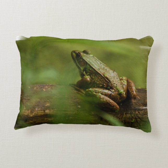 Froggy Decorative Cushion (Back)