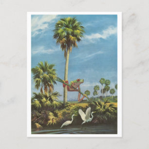 Froggy lookout - invitation postcard