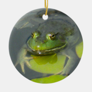 Froggy Ornament