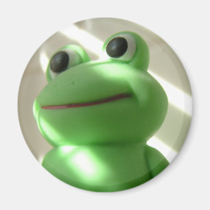 Froggy Super Fun Bath Time Magnet
