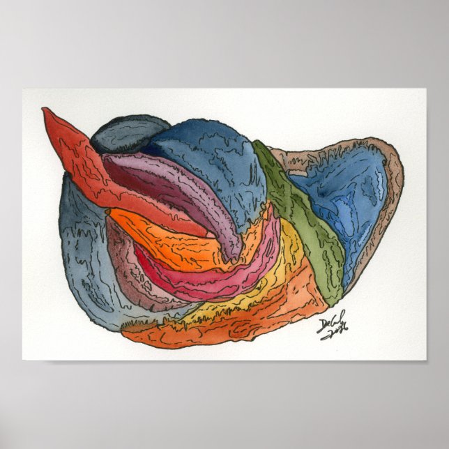 Frogpole Poster (Front)