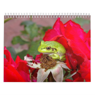 Frogs 2009 calendar