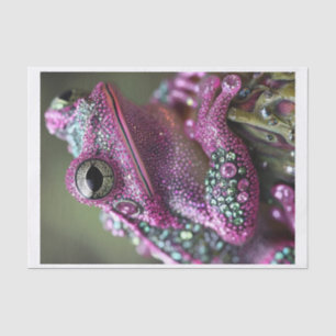 Frogs and Diamonds4 Tissue Paper