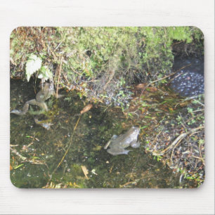 Frogs and Frog Spawn in a Pond Mouse Pad