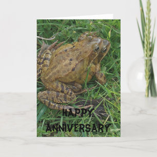 Frogs Anniversary Happy Anniversary Card