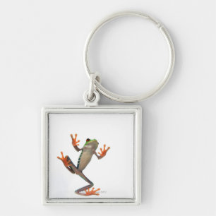 Frogs belly key ring