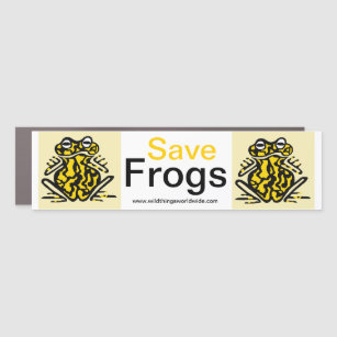 Frogs - car magnet