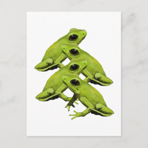 FROGS IN FOUR POSTCARD