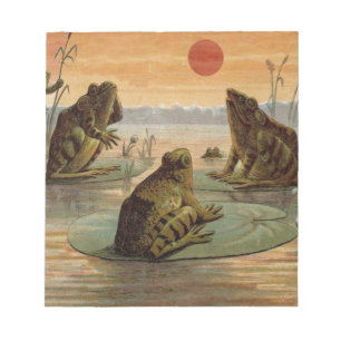 Frogs Lily Pads Moon Illustration