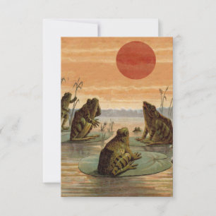 Frogs Lily Pads Moon Illustration