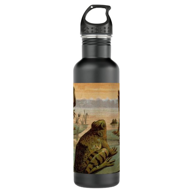 Frogs Lily Pads Moon Illustration 710 Ml Water Bottle (Front)