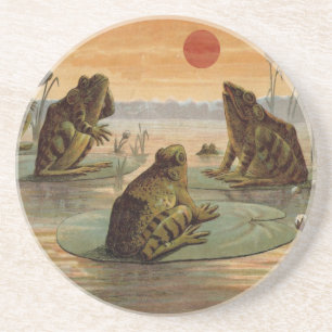 Frogs Lily Pads Moon Illustration Coaster