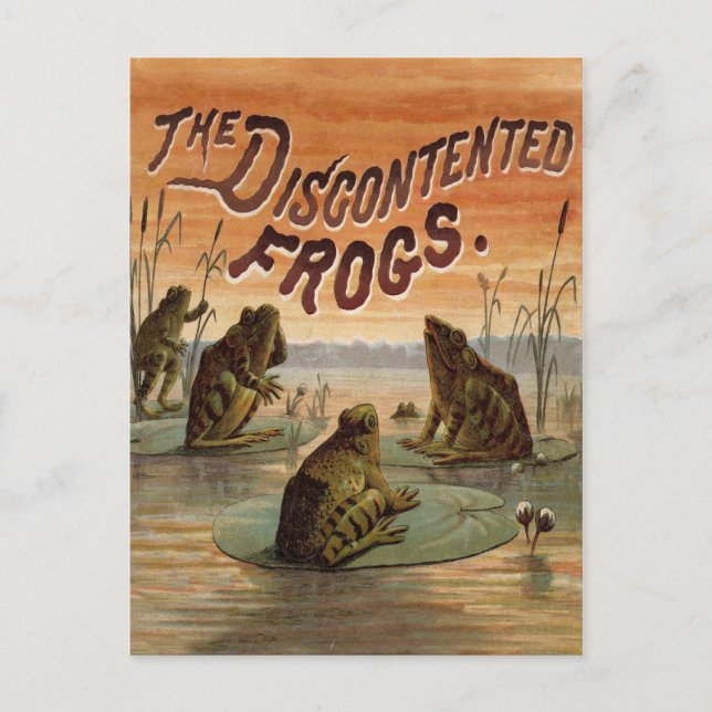 Frogs Lily Pads Moon Illustration Postcard (Front)