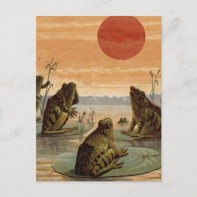 Frogs Lily Pads Moon Illustration Postcard (Front)