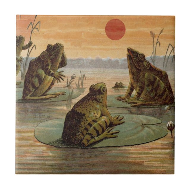 Frogs Lily Pads Moon Illustration Tile (Front)