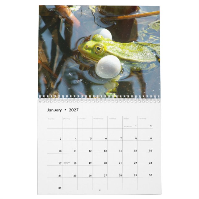 Frogs of the World Calendar (Jan 2027)