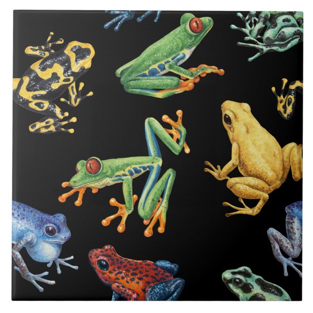 Frogs on black ceramic tile (Front)