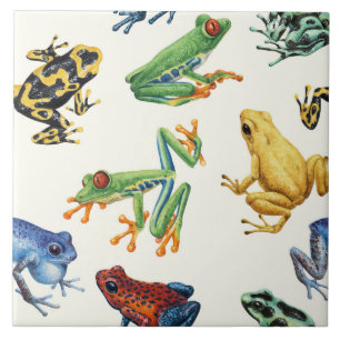 Frogs on black ceramic tile