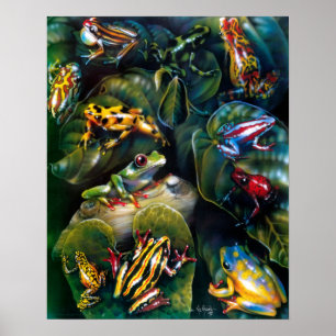 Frogs Poster