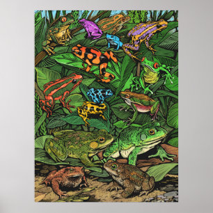 Frogs Poster