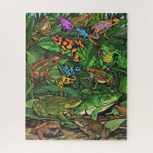 Frogs Puzzle