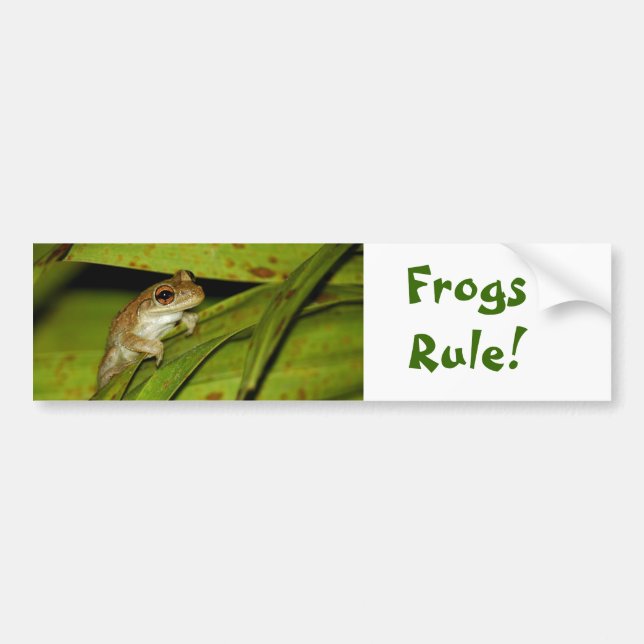 Frogs Rule Bumper Sticker (Front)
