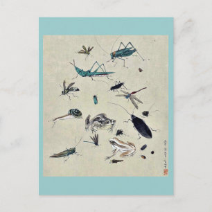 Frogs, snails, and insects postcard