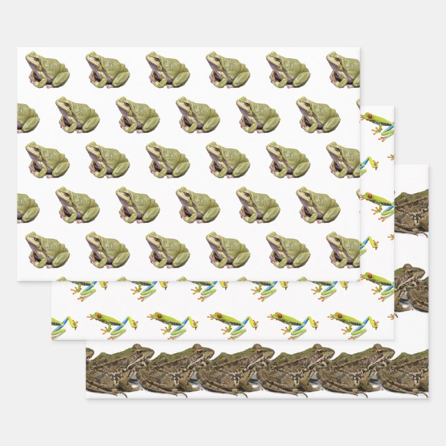 Frogs Wrapping Paper Sheet (Set)