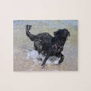 Frolicking Dog   Black Labrador Splashing in Water Jigsaw Puzzle