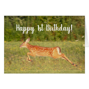 Frolicking Fawn Deer Animals Custom Birthday Card