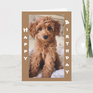 *FROM 1 DOG LOVER TO ANOTHER HAPPY BIRTHDAY* CARD