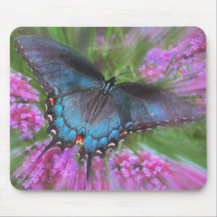 From above mouse pad