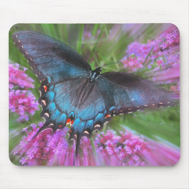 From above mouse pad (Front)