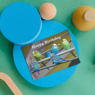 From All Colourful Parakeets Photo Birthday Card