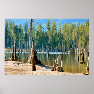 From below the water line the deadheads rise poster