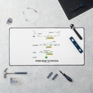 From Gene To Protein Molecular Biology Desk Mat