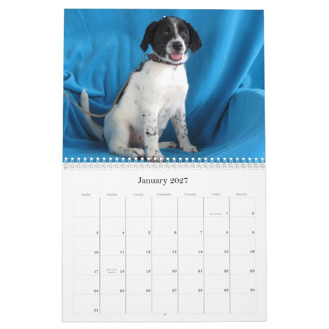 From Harlan to Safe Hands Calendar (Jan 2027)